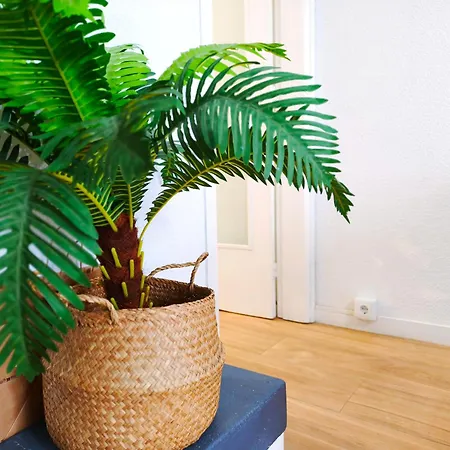 Apartament En Vilassar De Mar, Costa De Barcelona *